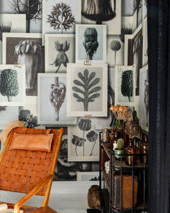 BLOSSFELDT'S ART FORMS Wallpaper (WP20595) by Mind The Gap