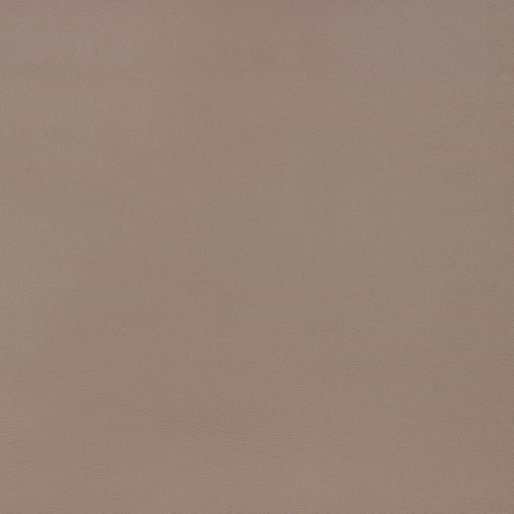 10200-0010 Capriccio Taupe by Sunbrella Fabric Sunbrella Horizon Capriccio Marine Upholstery Sunbrella® Engineered Leather USA or Imported 5-Year, 3-Year Microbial Pink Staining Horizontal: and Vertical: 54 in. - Fabric Carolina -