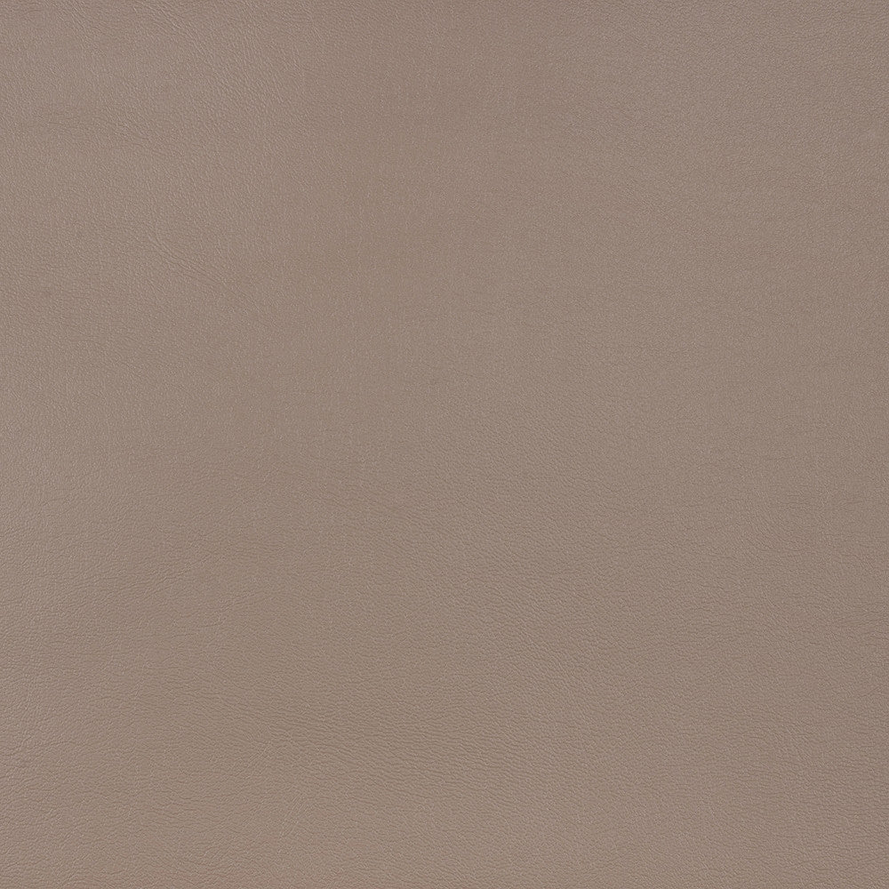 10200-0010 Capriccio Taupe by Sunbrella Fabric Sunbrella Horizon Capriccio Marine Upholstery Sunbrella® Engineered Leather USA or Imported 5-Year, 3-Year Microbial Pink Staining Horizontal: and Vertical: 54 in. - Fabric Carolina -