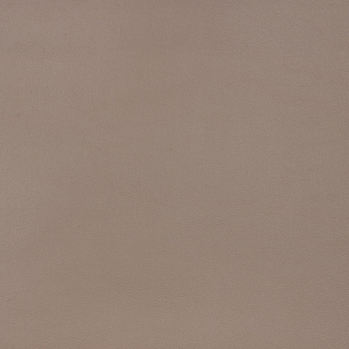 10200-0010 Capriccio Taupe by Sunbrella Fabric Sunbrella Horizon Capriccio Marine Upholstery Sunbrella® Engineered Leather USA or Imported 5-Year, 3-Year Microbial Pink Staining Horizontal: and Vertical: 54 in. - Fabric Carolina -