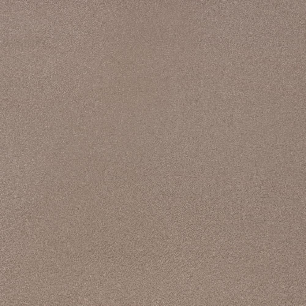 10200-0010 Capriccio Taupe by Sunbrella Designer Fabric Sunbrella Horizon Capriccio Marine Upholstery Sunbrella® Engineered Leather USA or Imported 5-Year, 3-Year Microbial Pink Staining Horizontal: and Vertical: 54 in. - Swanky Fabrics -