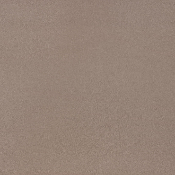 10200-0010 Capriccio Taupe by Sunbrella Designer Fabric Sunbrella Horizon Capriccio Marine Upholstery Sunbrella® Engineered Leather USA or Imported 5-Year, 3-Year Microbial Pink Staining Horizontal: and Vertical: 54 in. - Swanky Fabrics -
