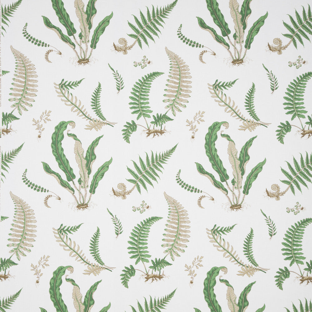 31032 1 by Lee Jofa Fabric PERENNIA COTTON - 100% United Kingdom - Horizontal: - and Vertical: 24.822 53.978 - Fabric Carolina -