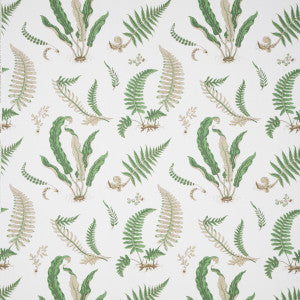31032 1 by Lee Jofa Fabric