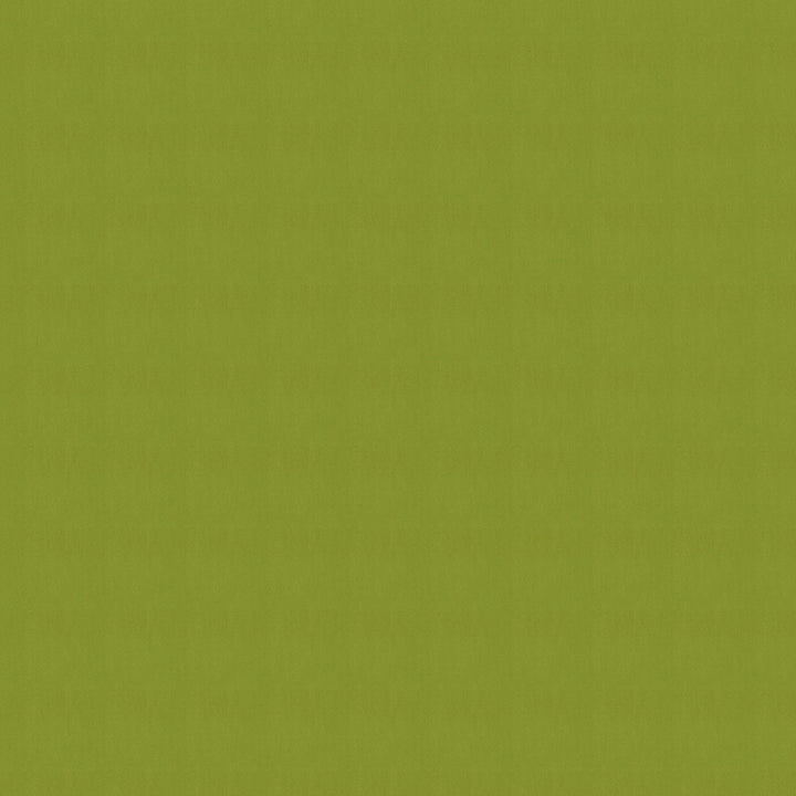 SJA 3738 137 Canvas Macao by Sunbrella Fabric Sunbrella European Sunbrella® Acrylic, Sunbrella® Polyester USA or Imported 5-Year Horizontal: and Vertical: 54 in. - Fabric Carolina -