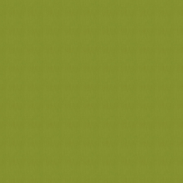 SJA 3738 137 Canvas Macao by Sunbrella Fabric Sunbrella European Sunbrella® Acrylic, Sunbrella® Polyester USA or Imported 5-Year Horizontal: and Vertical: 54 in. - Fabric Carolina -