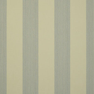 D322 Pencil Green by Sunbrella Fabric