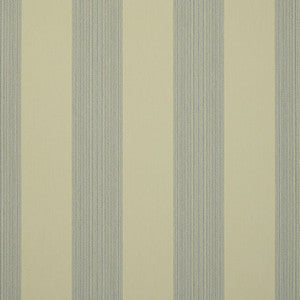 D322 Pencil Green by Sunbrella Fabric