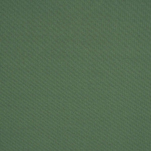 38490 Amazon Green by Sunbrella Fabric