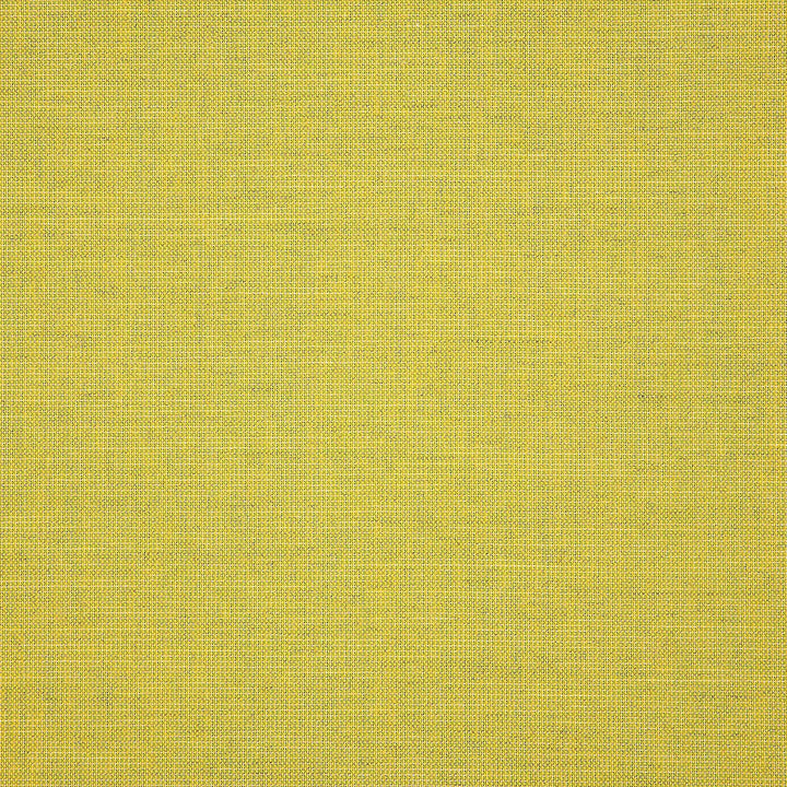 48112 Cast Citrus by Sunbrella Fabric Sunbrella Pure Sunbrella® Acrylic, Sunbrella® Polyester, Sunbrella® Non-Phthalate PVC USA or Imported 5-Year Horizontal: and Vertical: 60 yd. 54 in. - Fabric Carolina -