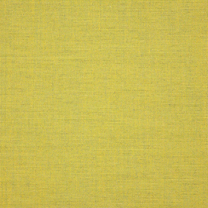 48112 Cast Citrus by Sunbrella Fabric Sunbrella Pure Sunbrella® Acrylic, Sunbrella® Polyester, Sunbrella® Non-Phthalate PVC USA or Imported 5-Year Horizontal: and Vertical: 60 yd. 54 in. - Fabric Carolina -