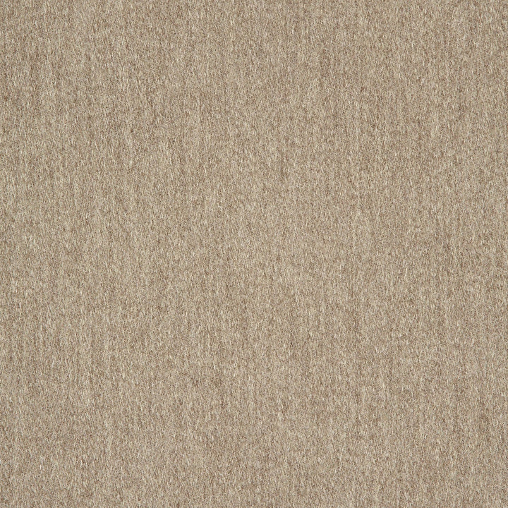 40501-0012 Pashmina Alpaca by Sunbrella Fabric Sunbrella Fusion Sunbrella® Acrylic, Sunbrella® Polyester USA or Imported 5-Year Horizontal: and Vertical: 60 yd. 54 in. - Fabric Carolina -
