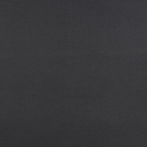 10200-0014 Capriccio Black by Sunbrella Fabric