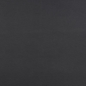 10200-0014 Capriccio Black by Sunbrella Fabric