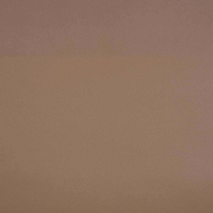 10200-0009 Capriccio Dune by Sunbrella Designer Fabric Sunbrella Horizon Capriccio Marine Upholstery SunbrellaÂ® Engineered Leather USA or Imported 5-Year, 3-Year Microbial Pink Staining Horizontal: and Vertical: 54 in. - Swanky Fabrics -