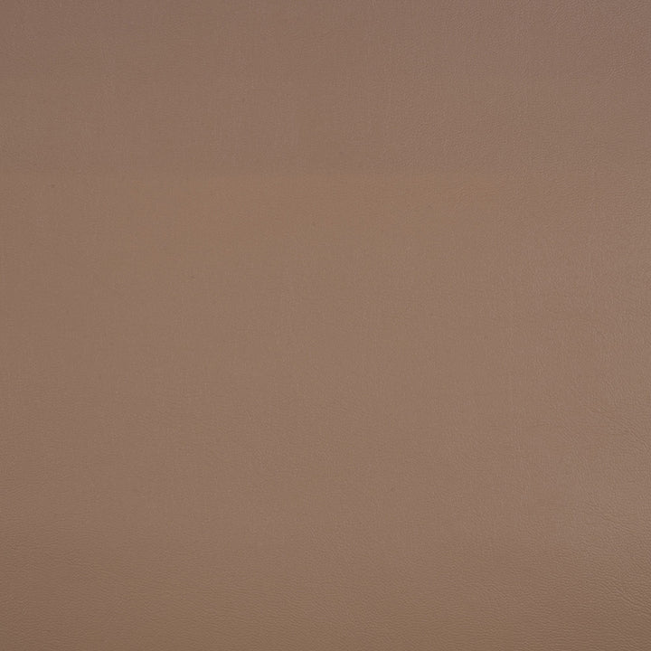 10200-0009 Capriccio Dune by Sunbrella Fabric Sunbrella Horizon Capriccio Marine Upholstery Sunbrella® Engineered Leather USA or Imported 5-Year, 3-Year Microbial Pink Staining Horizontal: and Vertical: 54 in. - Fabric Carolina -