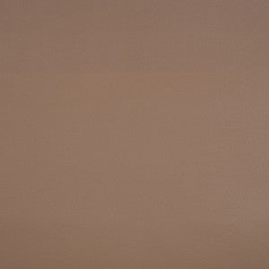 10200-0009 Capriccio Dune by Sunbrella Fabric