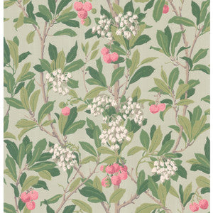 Strawberry Tree Pink & Duck Egg by Cole & Son Wallcovering
