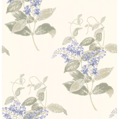 Madras Violet Violet & Grey by Cole & Son Wallcovering