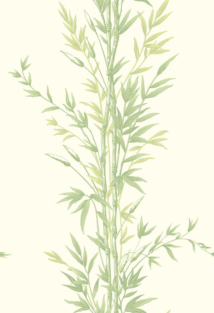 Bamboo Green by Cole & Son Wallcovering