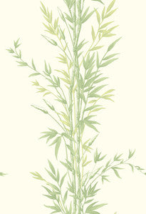 Bamboo Green by Cole & Son Wallcovering
