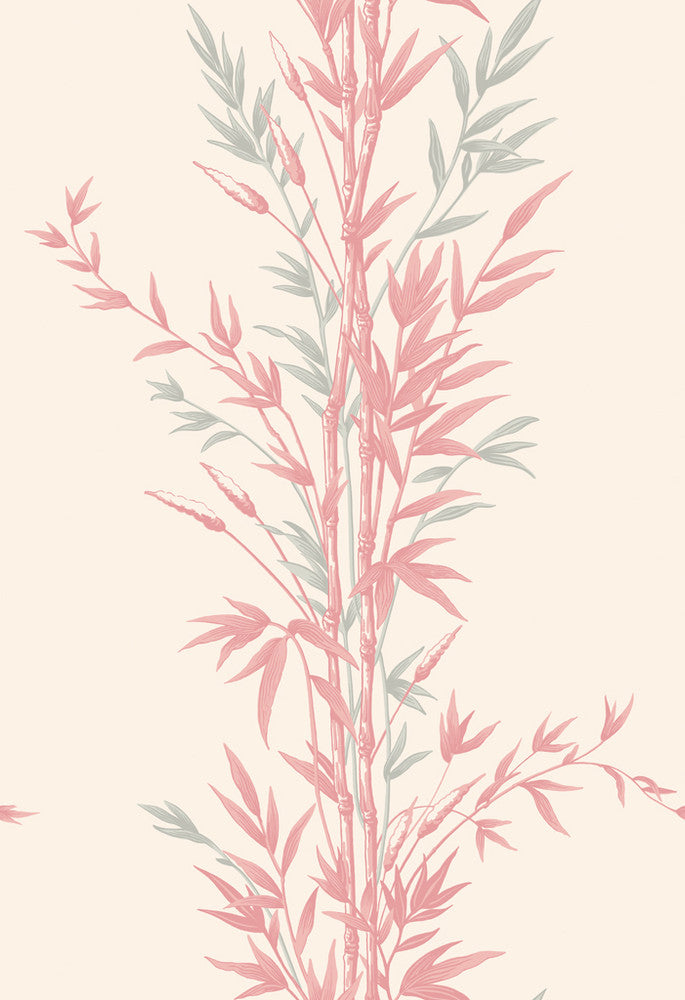 Bamboo Pink by Cole & Son Wallcovering