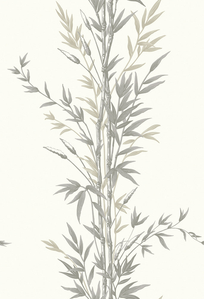 Bamboo Charcoal by Cole & Son Wallcovering