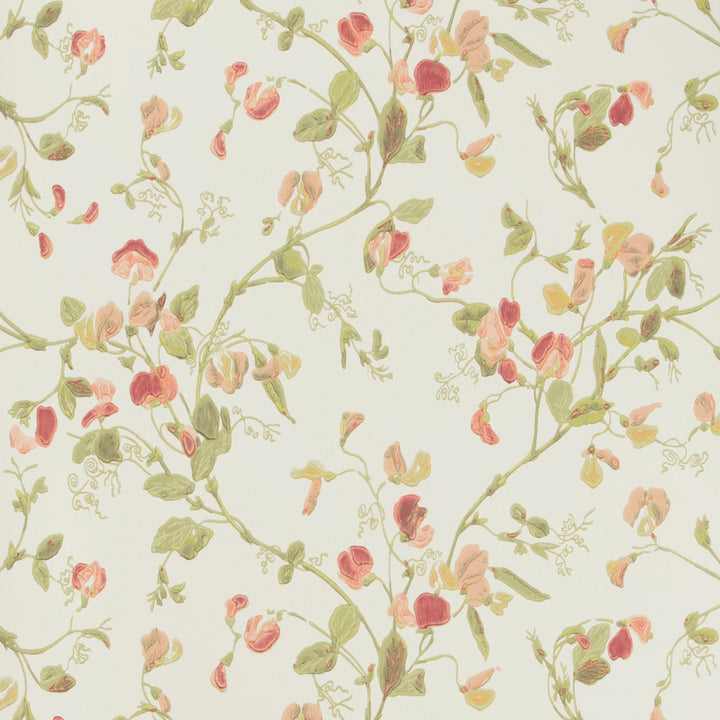 Sweet Pea Pink by Cole & Son Wallcovering