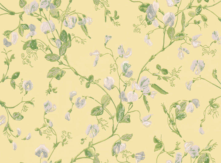 Sweet Pea Yellow by Cole & Son Wallcovering