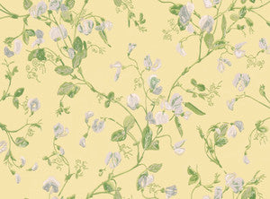 Sweet Pea Yellow by Cole & Son Wallcovering