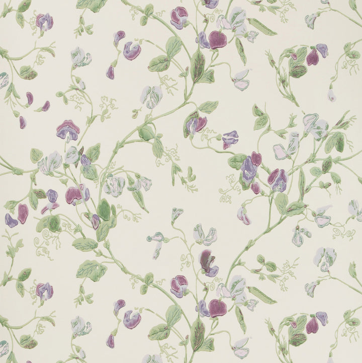 Sweet Pea Violet by Cole & Son Wallcovering