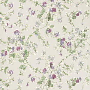 Sweet Pea Violet by Cole & Son Wallcovering
