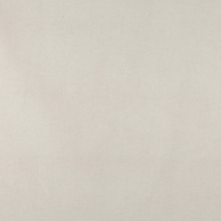 10000-01 by Charlotte Fabric Cotton Velvet 100% Cotton, Velvet Made In USA Exceeds 100,000 Wyzenbeek Rubs (Heavy Duty) No Repeat 54 Inches - Fabric Carolina -