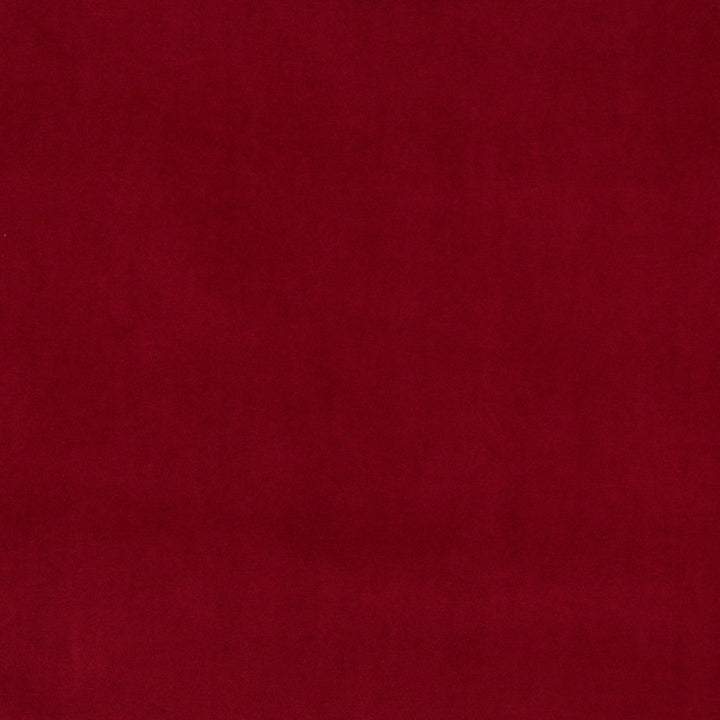 10000-02 by Charlotte Fabric Cotton Velvet 100% Cotton, Velvet Made In USA Exceeds 100,000 Wyzenbeek Rubs (Heavy Duty) No Repeat 54 Inches - Fabric Carolina -