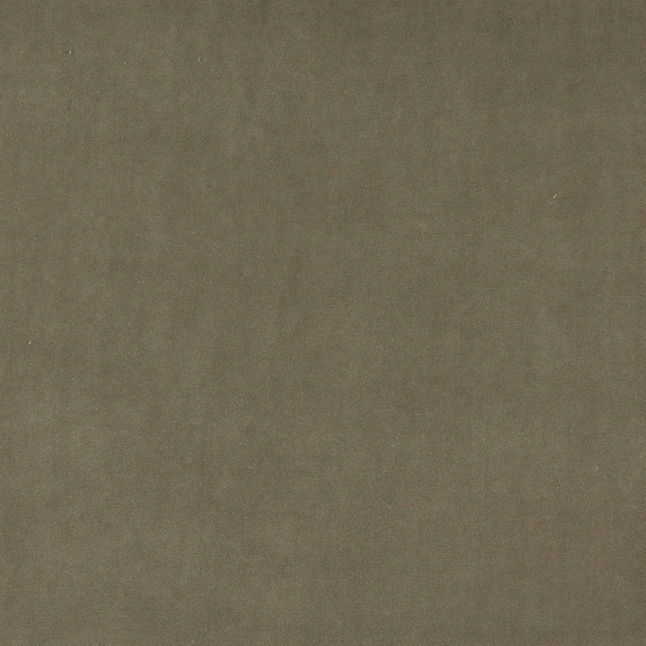 10000-04 by Charlotte Fabric Cotton Velvet 100% Cotton Made In USA Exceeds 100,000 Wyzenbeek Rubs (Heavy Duty) </p><p>Repeat: No Repeat 54 Inches - Fabric Carolina -