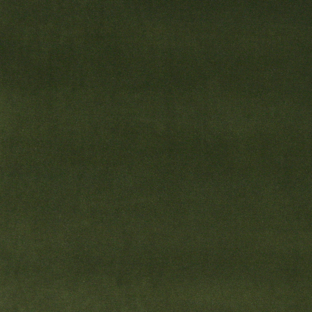 10000-07 by Charlotte Designer Fabric Cotton Velvet 100% Cotton, Velvet Made In USA Exceeds 100,000 Wyzenbeek Rubs (Heavy Duty) No Repeat 54 Inches - Swanky Fabrics -