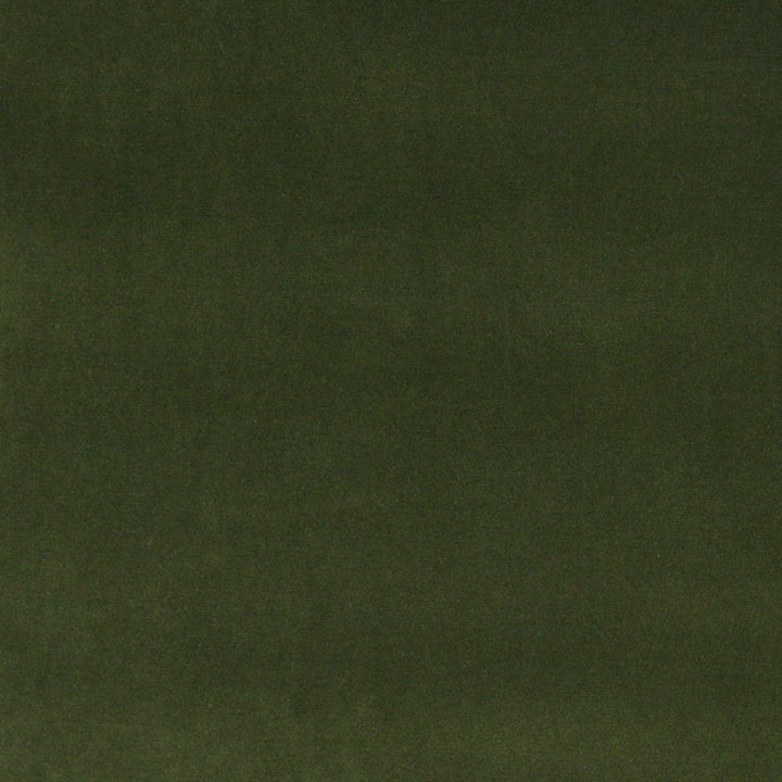 10000-07 by Charlotte Fabric Cotton Velvet 100% Cotton Made In USA Exceeds 100,000 Wyzenbeek Rubs (Heavy Duty) </p><p>Repeat: 54 Inches - Fabric Carolina -
