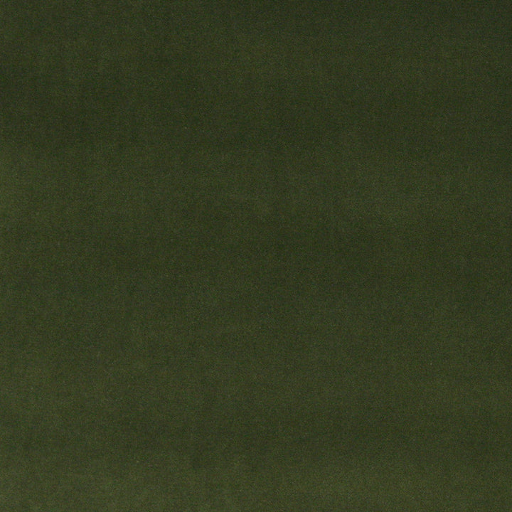 10000-07 by Charlotte Designer Fabric Cotton Velvet 100% Cotton, Velvet Made In USA Exceeds 100,000 Wyzenbeek Rubs (Heavy Duty) No Repeat 54 Inches - Swanky Fabrics -