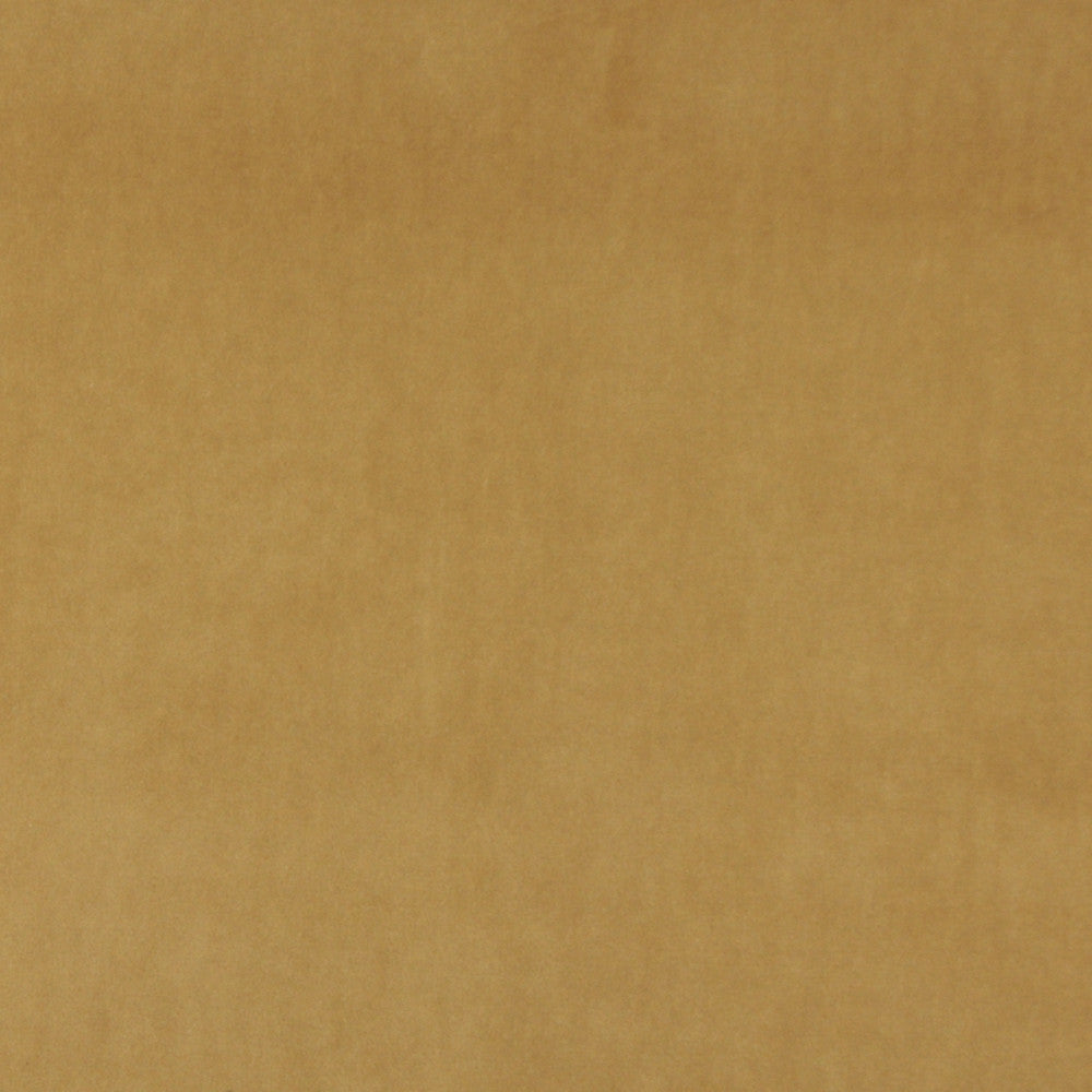 10000-08 by Charlotte Fabric Cotton Velvet 100% Cotton, Velvet Made In USA Exceeds 100,000 Wyzenbeek Rubs (Heavy Duty) No Repeat 54 Inches - Fabric Carolina -