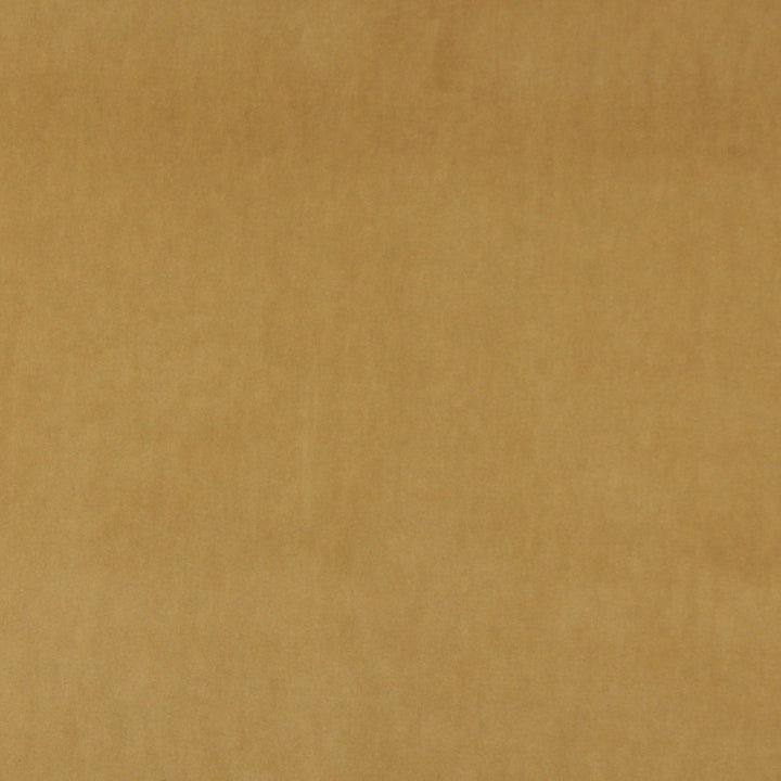 10000-08 by Charlotte Fabric Cotton Velvet 100% Cotton Made In USA Exceeds 100,000 Wyzenbeek Rubs (Heavy Duty) </p><p>Repeat: 54 Inches - Fabric Carolina -