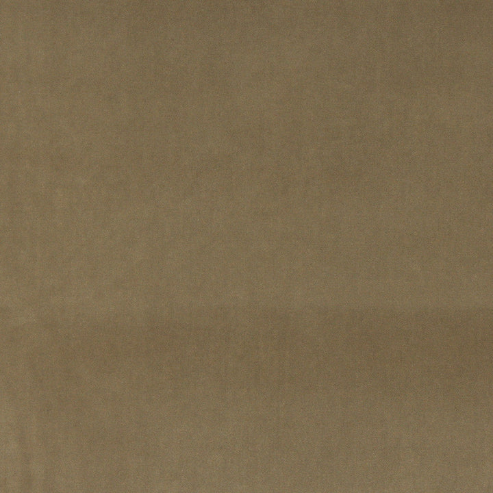 10000-10 by Charlotte Designer Fabric Cotton Velvet 100% Cotton, Velvet Made In USA Exceeds 100,000 Wyzenbeek Rubs (Heavy Duty) No Repeat 54 Inches - Swanky Fabrics -