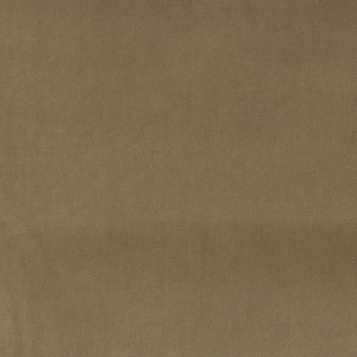 10000-10 by Charlotte Fabric Cotton Velvet 100% Cotton Made In USA Exceeds 100,000 Wyzenbeek Rubs (Heavy Duty) </p><p>Repeat: No Repeat 54 Inches - Fabric Carolina -