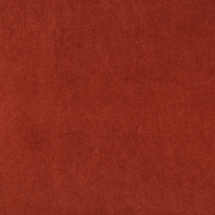 10000-11 by Charlotte Fabric Cotton Velvet 100% Cotton, Velvet Made In USA Exceeds 100,000 Wyzenbeek Rubs (Heavy Duty) No Repeat 54 Inches - Fabric Carolina -