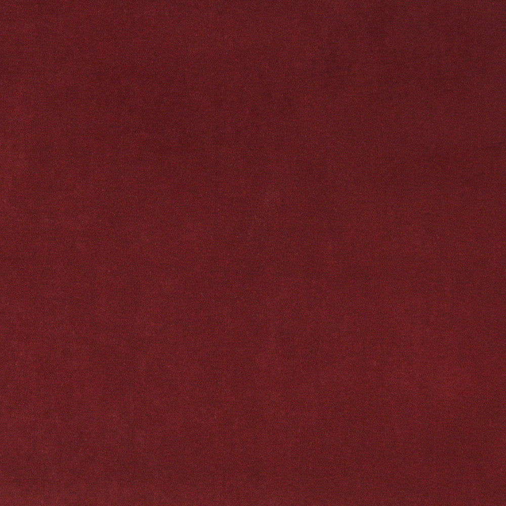 10000-14 by Charlotte Designer Fabric Cotton Velvet 100% Cotton, Velvet Made In USA Exceeds 100,000 Wyzenbeek Rubs (Heavy Duty) No Repeat 54 Inches - Swanky Fabrics -
