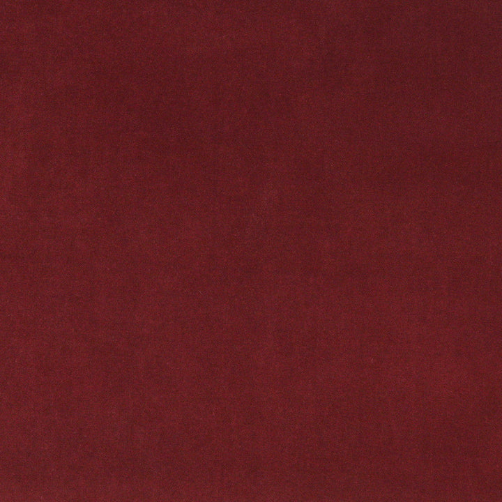 10000-14 by Charlotte Designer Fabric Cotton Velvet 100% Cotton, Velvet Made In USA Exceeds 100,000 Wyzenbeek Rubs (Heavy Duty) No Repeat 54 Inches - Swanky Fabrics -