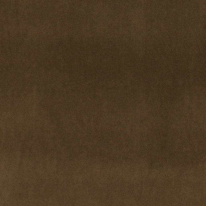 10000-15 by Charlotte Designer Fabric Cotton Velvet 100% Cotton, Velvet Made In USA Exceeds 100,000 Wyzenbeek Rubs (Heavy Duty) No Repeat 54 Inches - Swanky Fabrics -