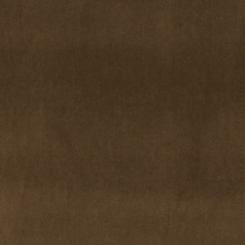 10000-15 by Charlotte Designer Fabric Cotton Velvet 100% Cotton Made In USA Exceeds 100,000 Wyzenbeek Rubs (Heavy Duty) </p><p>Repeat: No Repeat 54 Inches - Swanky Fabrics -