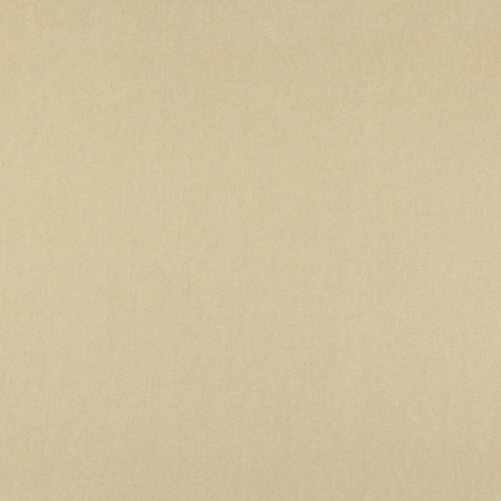 10000-16 by Charlotte Fabric Cotton Velvet 100% Cotton Made In USA Exceeds 100,000 Wyzenbeek Rubs (Heavy Duty) </p><p>Repeat: 54 Inches - Fabric Carolina -