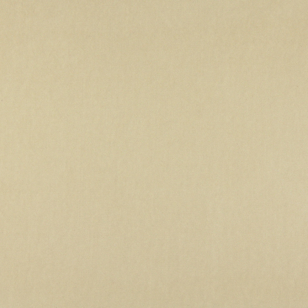 10000-16 by Charlotte Designer Fabric Cotton Velvet 100% Cotton, Velvet Made In USA Exceeds 100,000 Wyzenbeek Rubs (Heavy Duty) No Repeat 54 Inches - Swanky Fabrics -