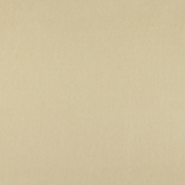 10000-16 by Charlotte Designer Fabric Cotton Velvet 100% Cotton, Velvet Made In USA Exceeds 100,000 Wyzenbeek Rubs (Heavy Duty) No Repeat 54 Inches - Swanky Fabrics -